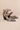 Mi.iM HENDRIX Pointed Toe Hollow Out Stiletto Sandals LEOAPRD